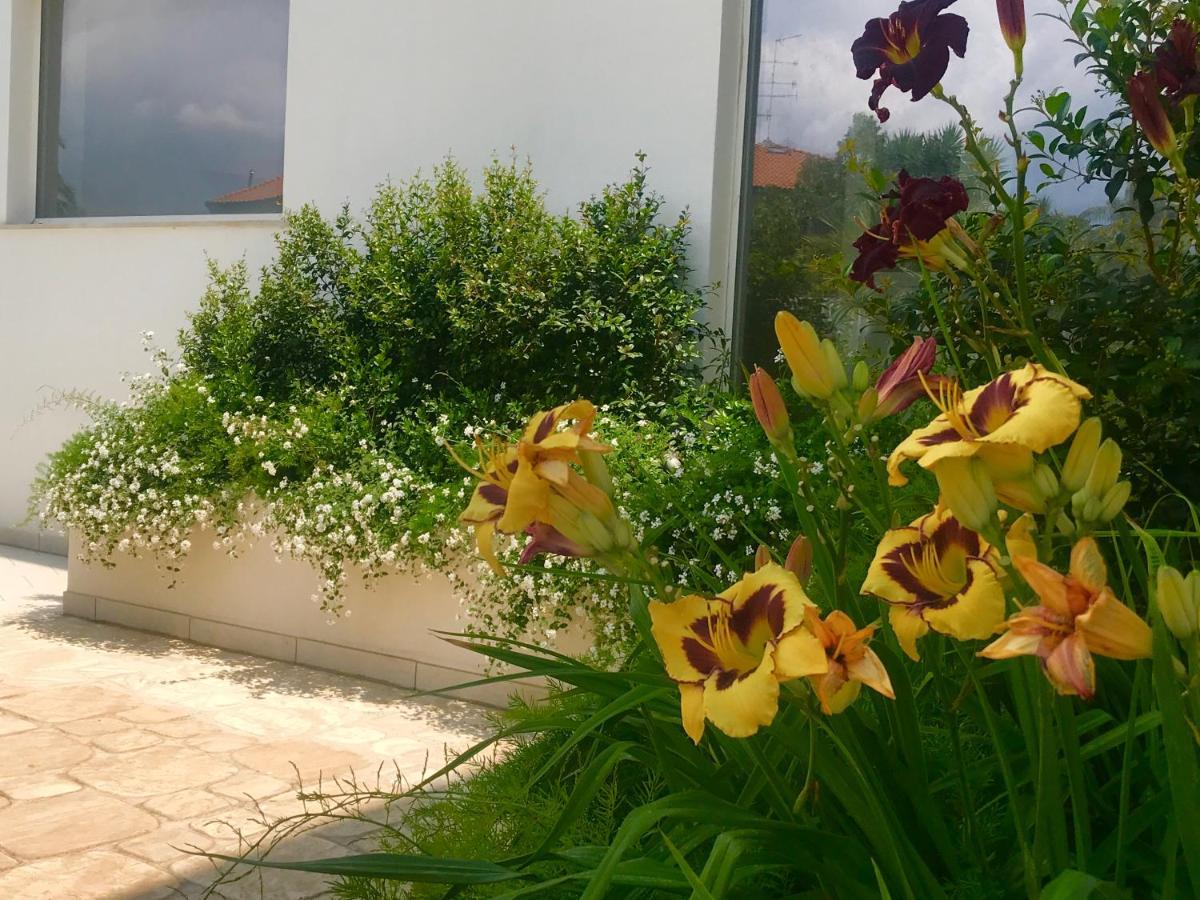 Path House - Etna & Sea View Aparthotel Riposto Exterior foto